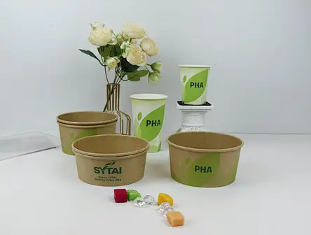Disposable Paper Salad containers